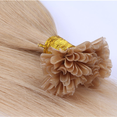 Prebonded Hair Double Drawn Human Hair U tip/Flat tip/I tip Hair Extensions Wholesale Brazilian Keratin TipHN195
